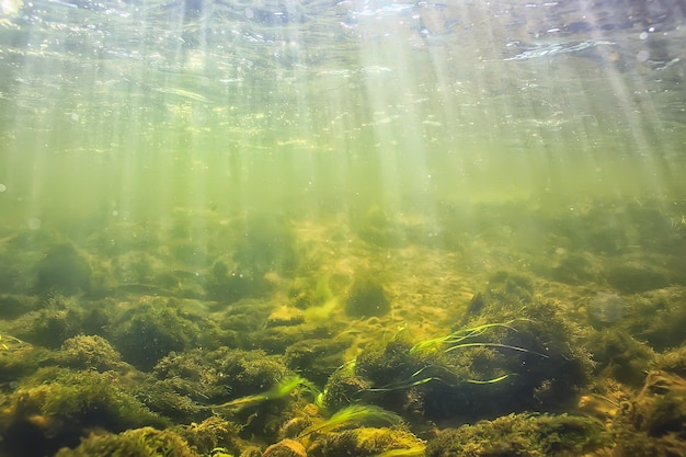 rayons de soleil sous le paysage aquatique, paysage marin plongée en rivière d'eau douce