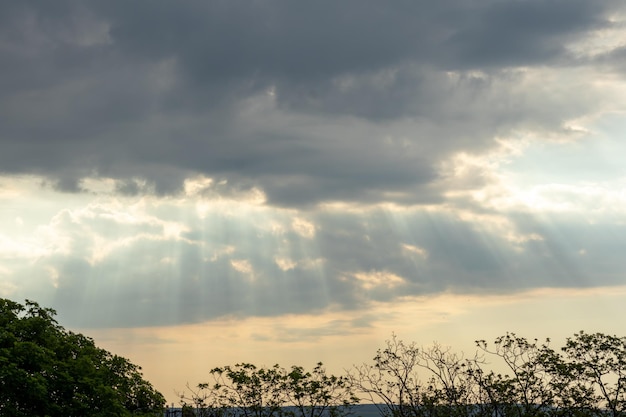 Rayons de soleil à travers des nuages d'orage spectaculaires sur fond d'arbres.