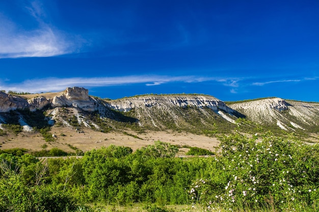 Rebords rocheux cuesta en terrain vallonné paysage de fleurs blanches par temps clair