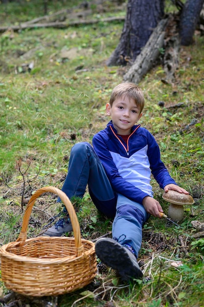 À la recherche de champignons dans la forêt Garçon coupant un champignon dans la forêt Saison de cueillette des champignons dans la forêtAutomne