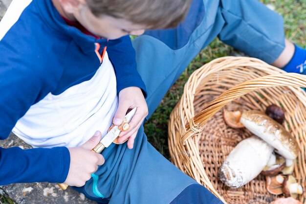 À la recherche de champignons dans la forêt Garçon coupant un champignon dans la forêt Saison de cueillette des champignons dans la forêtAutomne