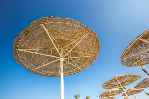 À la recherche de grands parasols contre le ciel bleu