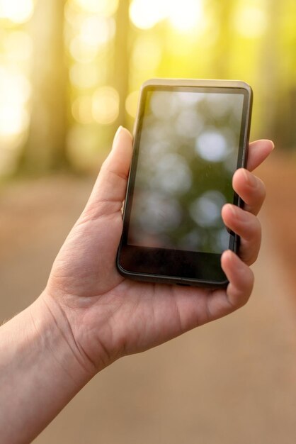 À la recherche d'un signal GSM dans la forêt