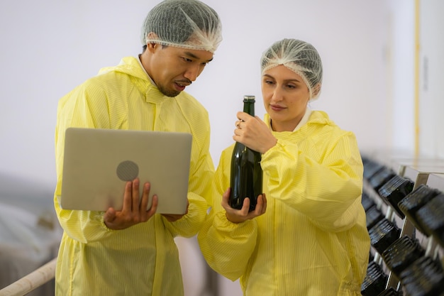 Rechercheurs et développeurs matures féminins et masculins travaillant dans les établissements viticoles