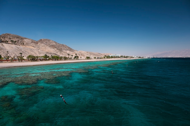 Récif de corail dans le golfe d'Eilat, Mer Rouge