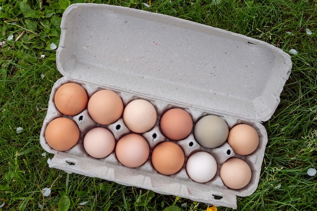 Un récipient en carton avec des œufs de poule sur l'herbe