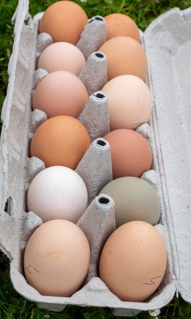 Un récipient en carton avec des œufs de poule sur l'herbe