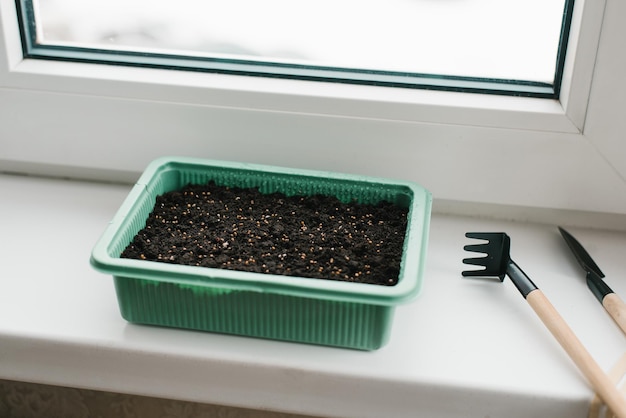 Récipient avec de la tourbe et des graines plantées avec un outil de jardin à la maison sur le rebord de la fenêtre