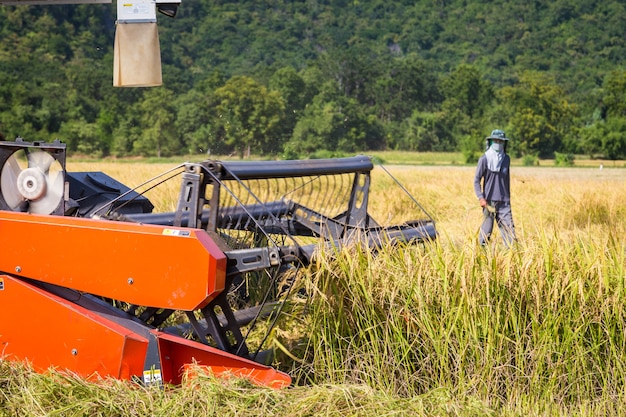 Photo récolte agricole par moissonneuse batteuse