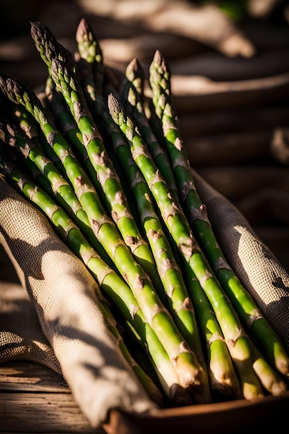 la récolte des asperges dans le jardin