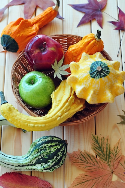 Récolte d'automne citrouilles pommes courge et feuilles multicolores sèches en arrière-plan