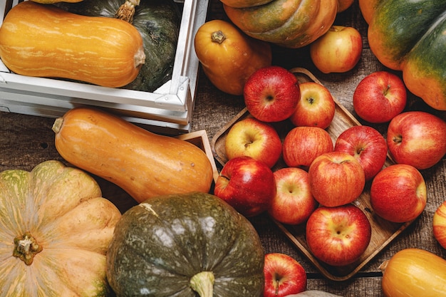 Récolte d'automne de citrouilles et de pommes