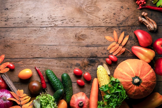 Récolte d'automne fruits et légumes Concept frame copyspace pour la publicité et les annonces des aliments sains