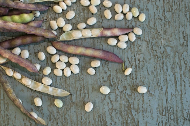 Récolte d'automne de haricots sur une table en bois