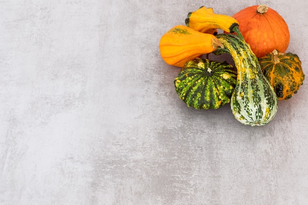 Récolte d'automne Joyeux Thanksgiving Bannière Sélection de diverses citrouilles