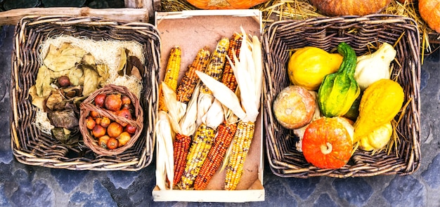 Récolte d'automne. Marché nature morte. légumes dans des paniers rustiques