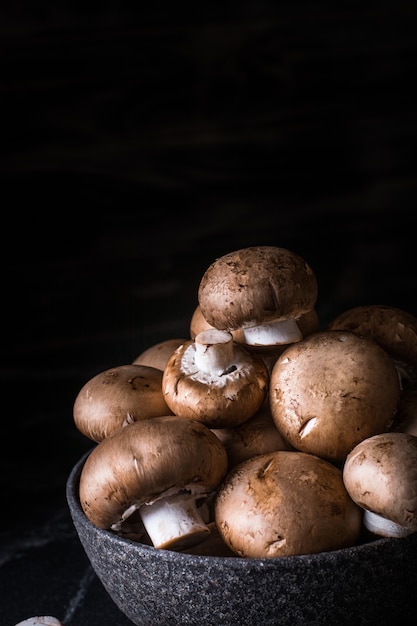 Récolte de Champignons en assiette