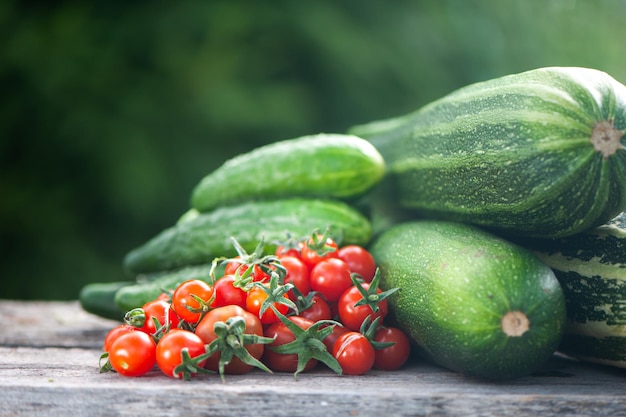 Récolte de courgettes, concombres et tomates, nature morte sur fond de jardin naturel, espace pour le texte