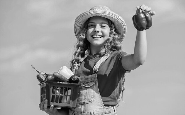 Récolte des cultures Saison des récoltes L'enfant porte le fond du ciel de la récolte Aliments biologiques Journée ensoleillée à la ferme Légumes dans le panier Fille adorable enfant agriculture Légumes locaux Nutrition vitaminique naturelle