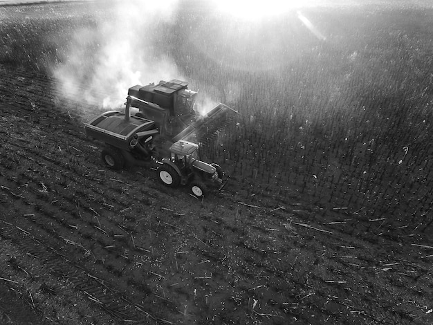 Récolte dans la campagne argentine La Pampa Argentine