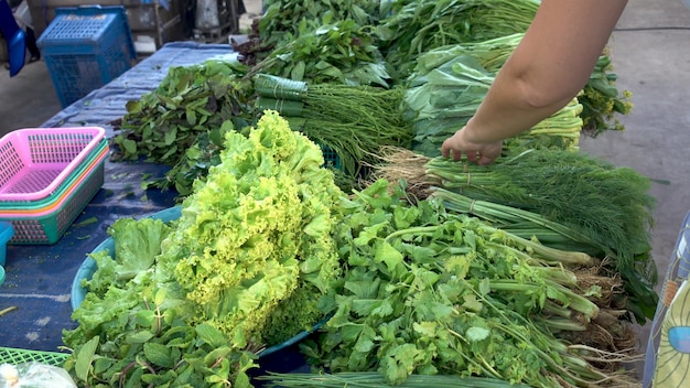 Récolte, femme, sélection, bouquet, frais, aneth, variété, verdure, comptoir