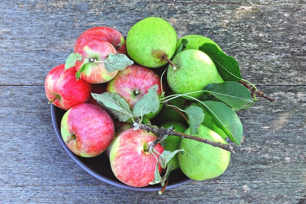 Récolte fraîche de pommes et de poires sur un fond en bois.