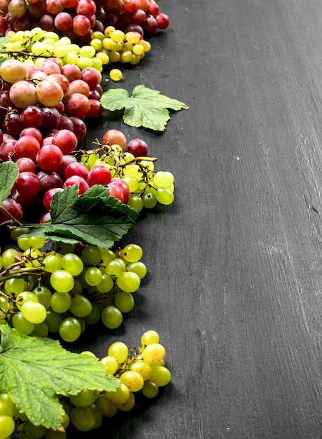 Photo récolte fraîche de raisins rouges et verts. sur le tableau noir.