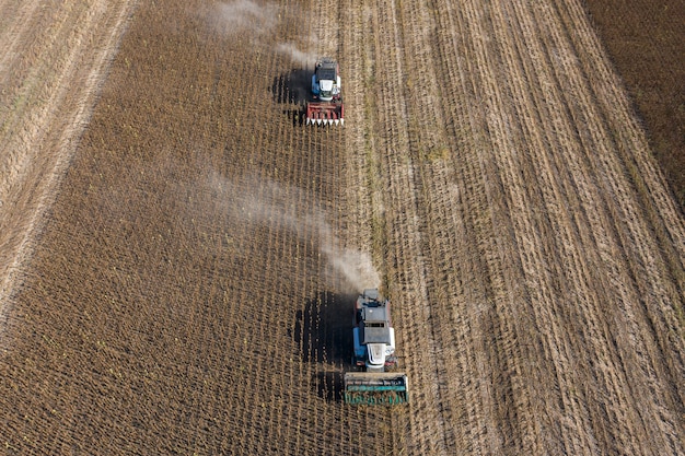 Récolte de graines de tournesol, vue aérienne