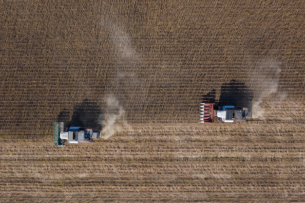 Récolte de graines de tournesol, vue aérienne