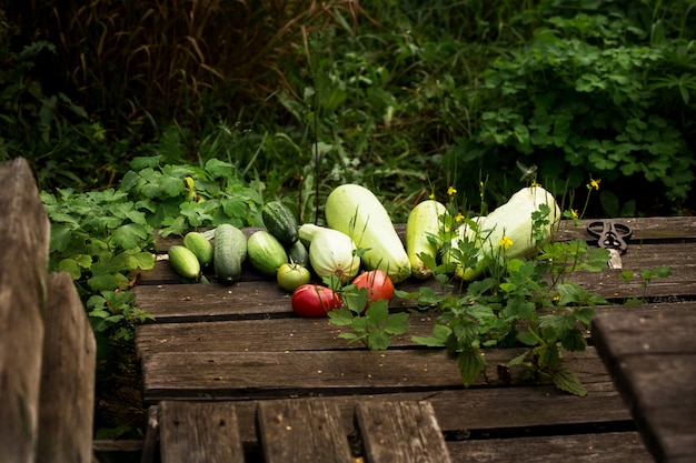 Récolte de légumes d'été frais sur bois