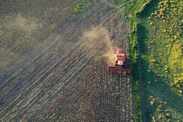 La récolte de la machine moissonneuse-batteuse dans la campagne argentine de la province de Buenos Aires Argentine