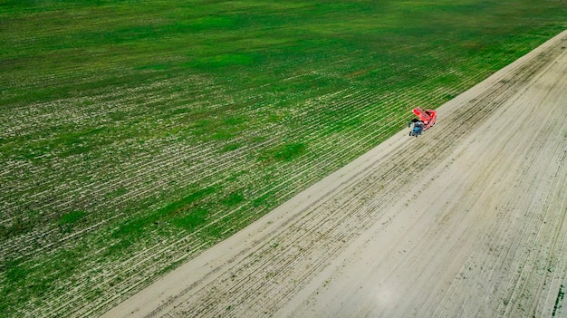 Récolte mécanisée de betteraves à sucre dans un champ en Pologne lors d'une journée ensoleillée à la fin de la saison d'automne