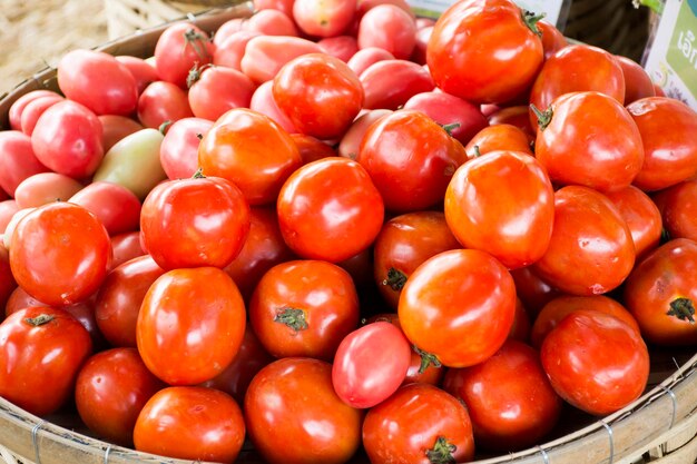 Récolte de nombreux légumes frais du jardin de tomates pour le spectacle et la vente pour les thaïlandais au festival des légumes et de la flore à Nonthaburi Thaïlande