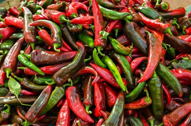 Récolte de piment rouge se trouve sur une pile Légumes biologiques Concept de récolte d'automne Cultures agricoles Mise au point sélective