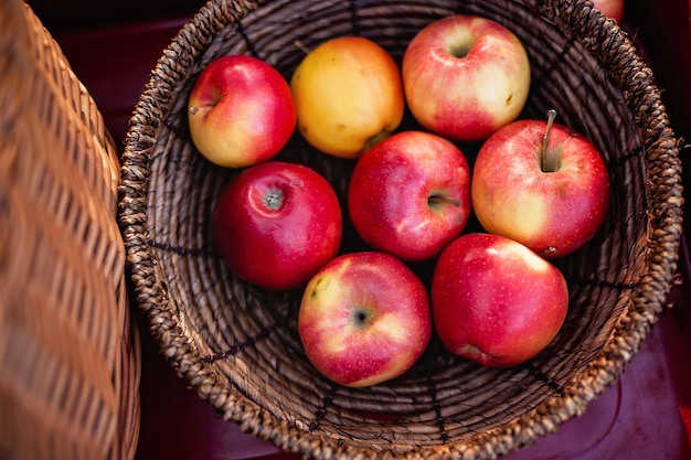 Récolte de pommes Pommes rouges mûres dans le panier sur l'herbe verte