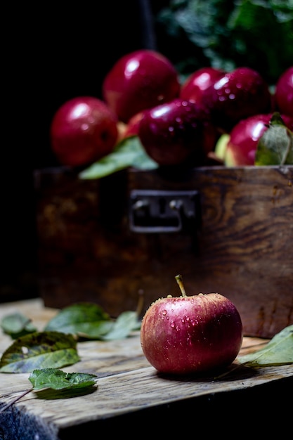 Récolte de pommes rouges Photo rétro