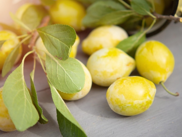 Récolte de prunes prunes fraîches en vrac sur une table en bois