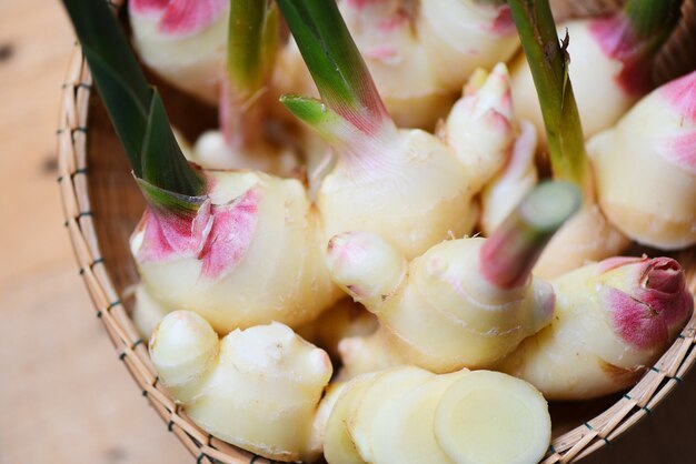 Récolte de racine de gingembre sur le panier. Jeune gingembre frais pour herbe médicinale naturelle et nourriture