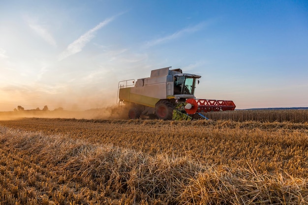 Récolte de tracteur sur un champ agricole contre le ciel