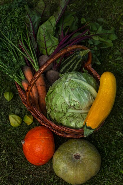 Récoltez Des Légumes Frais Dans Un Panier Dans Le Jardin Par Une Journée Ensoleillée. Alimentation Saine Et Vitamines. Fermer. Verticale.