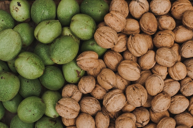 Récoltez les noix. Fruits de noix de différentes variétés. Noix vertes et mûres fraîches en coque.