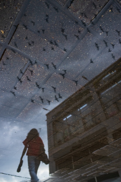 Reflet abstrait d'une rue de la ville dans une flaque d'eau pluvieuse. Oiseaux en vol