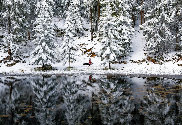 Photo le reflet d'un arbre gelé sur le lac