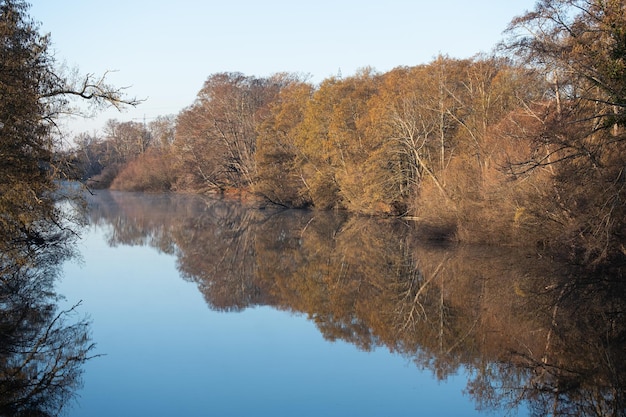 Reflet d'un arbre de rivière forestière