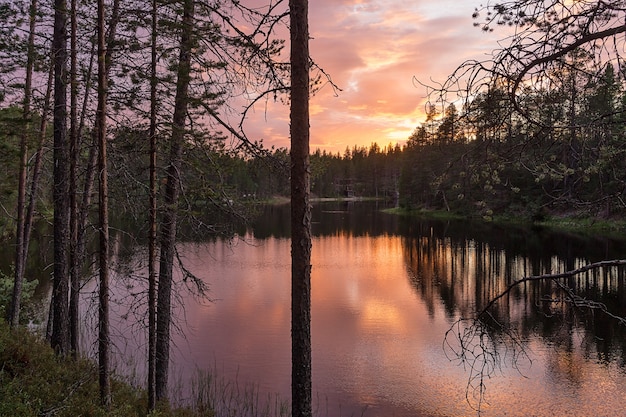 Reflet des arbres au coucher du soleil coloré dans le lac