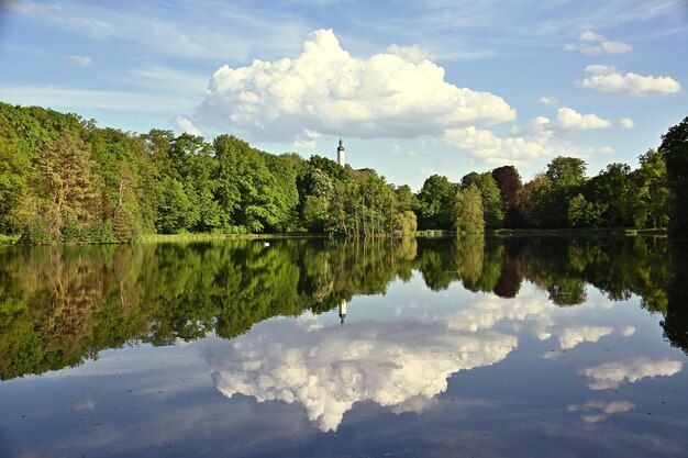 reflet des arbres dans l'eau