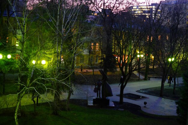 Photo le reflet des arbres dans l'étang la nuit