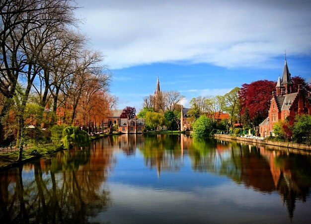 Le reflet des arbres dans un lac calme