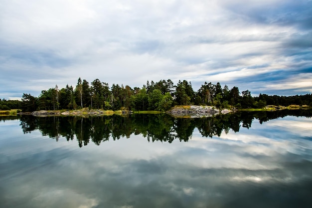 Le reflet des arbres dans un lac calme