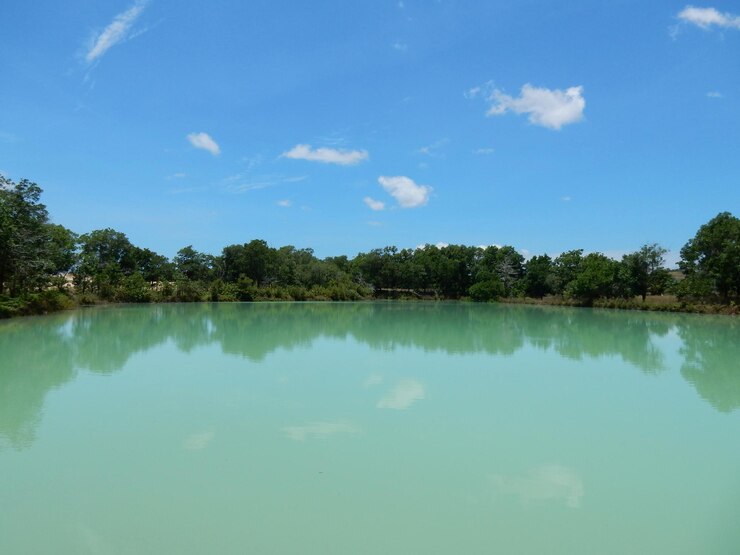 Photo le reflet des arbres dans un lac calme